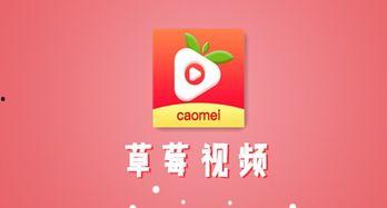 草莓视频app黄在线视频在线,黄在线视频，揭秘热门内容背后的秘密